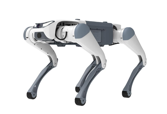 會(huì)撒嬌會(huì)干活【夢(mèng)中情狗】來了